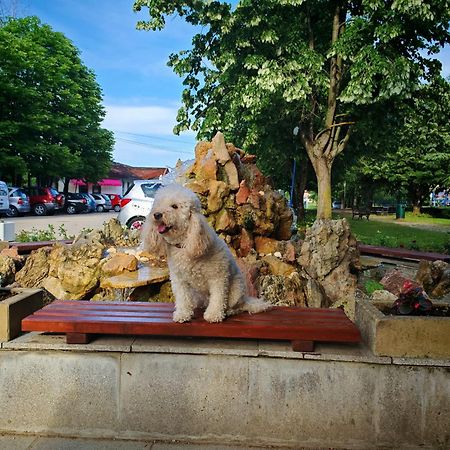 Apartmani La Magaza Banja Vrujci Berkovac Esterno foto