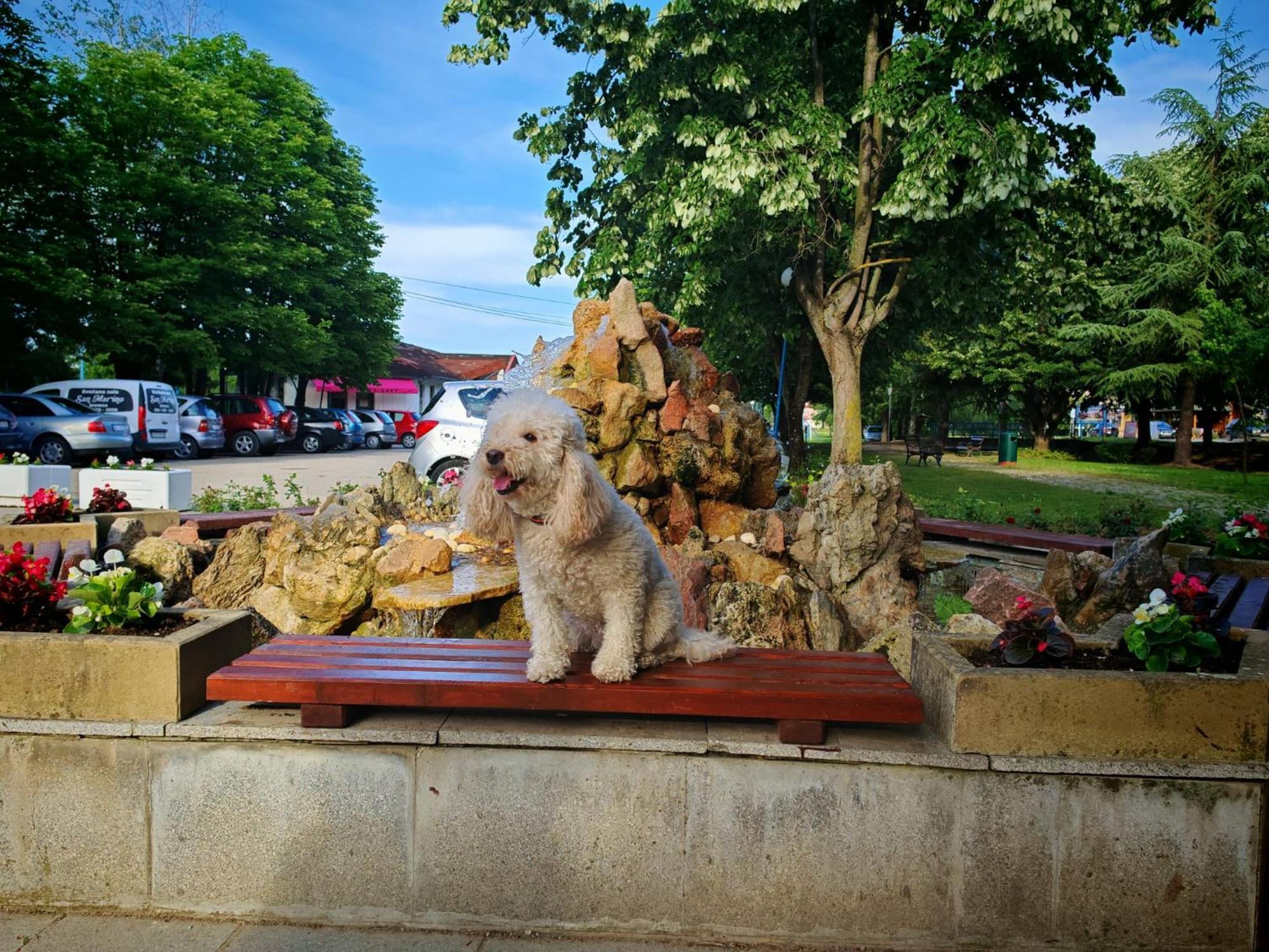 Apartmani La Magaza Banja Vrujci Berkovac Esterno foto