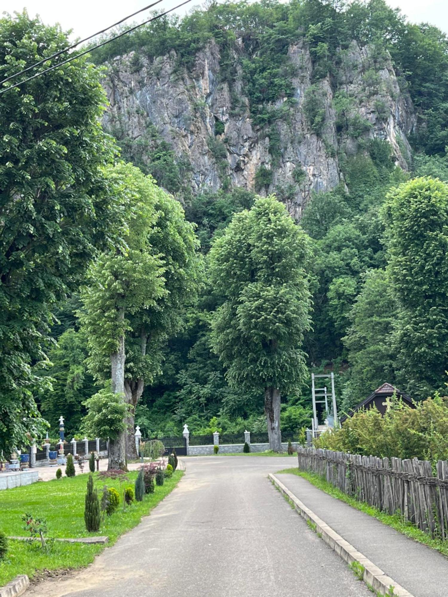 Apartmani La Magaza Banja Vrujci Berkovac Esterno foto